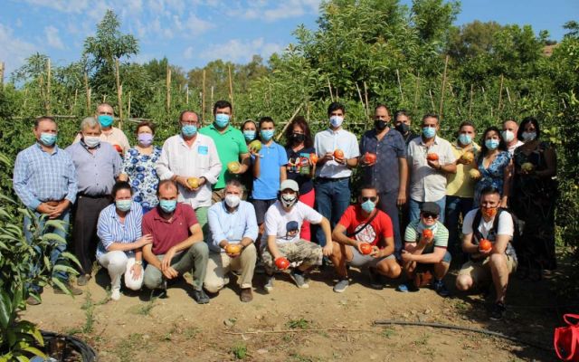 foto de Comienza la temporada del tomate Huevo Toro 2020