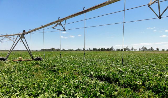 foto de La Junta publica la convocatoria de ayudas para la mejora energética de explotaciones agropecuarias