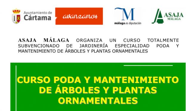 foto de Nuevo curso de poda y mantenimiento de árboles y plantas ornamentales