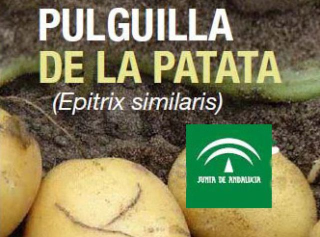 foto de Sesión informativa sobre la pulguilla de la patata