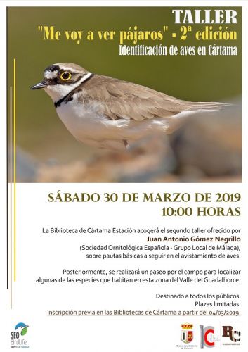 foto de Taller de Avistamiento de Aves