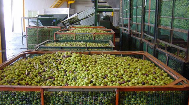 foto de Nuevas ayudas por valor de 68,6 millones para las agroindustrias