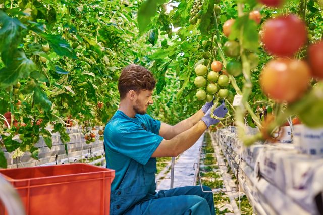 foto de Agricultura de la Junta pone a disposición de los jóvenes del medio rural, 30 millones de euros en ayudas para la creación de empresas