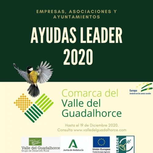 foto de Convocatoria de ayudas del GDR - Ayudas Leader 2020