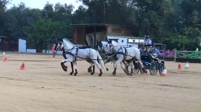 foto de El Team Rafael Requenal bronce en la Copa de Andalucía Prueba de Obstáculos C.H. Río Piedras de enganches