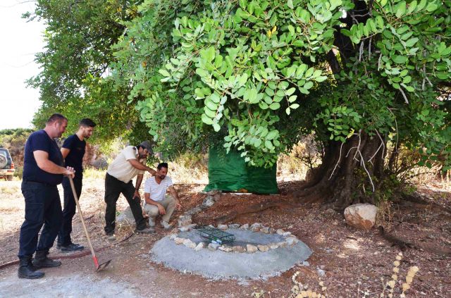 foto de El Ayuntamiento instala abrevaderos para animales en zonas de monte público