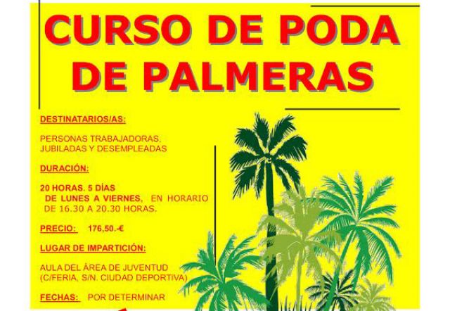 foto de Curso de poda de palmeras