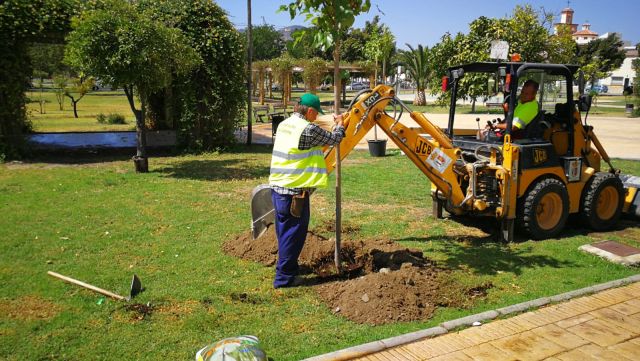 foto de Medioambiente Cártama inicia la plantación de árboles para proporcionar sombra en el entorno de los parques infantiles