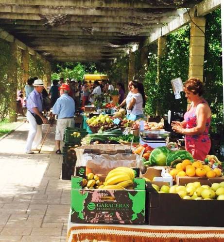 foto de El domingo nos vamos de Mercado