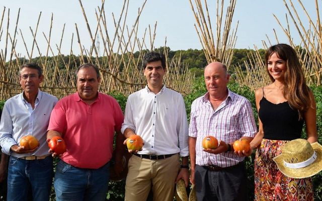 foto de Arranca el inicio de campaña del Tomate Huevo Toro 2023